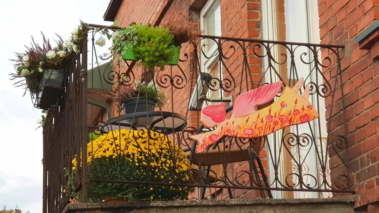 Old Town Apartments 알리투스 외부 사진